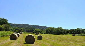 2014_0625_103918-DSC_1161