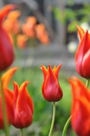 2014_0522_160210-DSC_1005