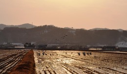 2014_0402_164955-DSC_0753-2 圧縮