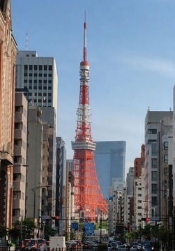 260428M0