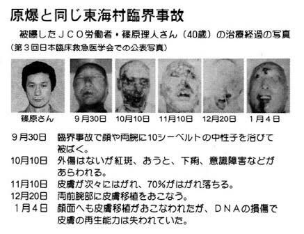 夏の終わりの恐怖画像スレ 怖い話 都市伝説 怪談 オカルトまとめ 霊験通信