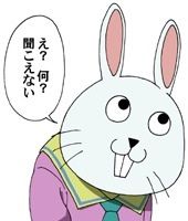 iPad3超高解像度(2048×1536)液晶パネル (2)