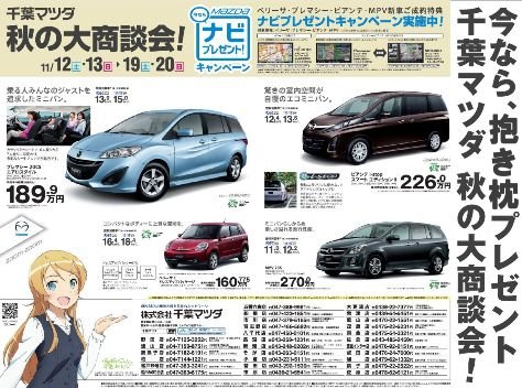 【俺の妹がこんなに可愛いわけがない】黒猫 (4)