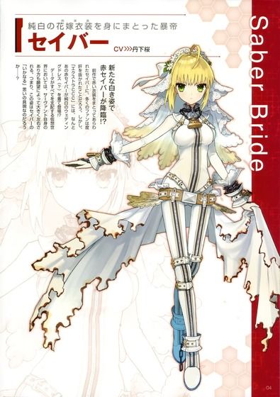 Fateキャスター狐_013