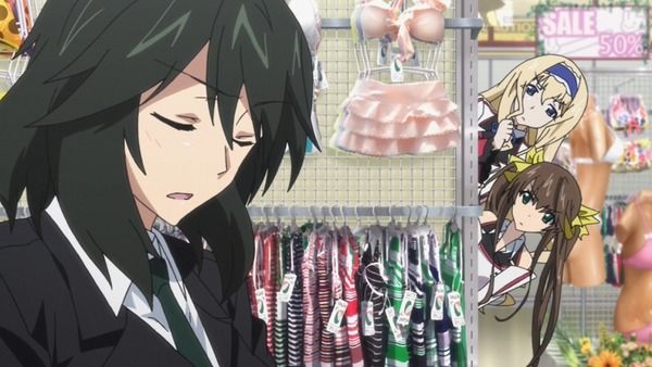 IS-インフィニットストラトス打ち切り?_009