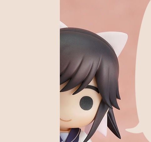 アマゾン通販投売りねんどろいど_015