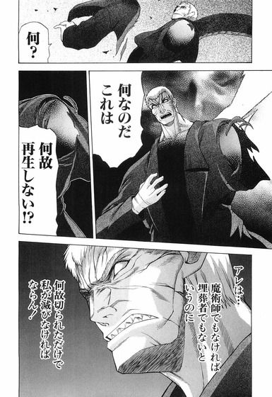 月姫・Fate・魔法使いの夜設定画像_026