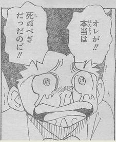ハンターハンター335話ねたばれ_002