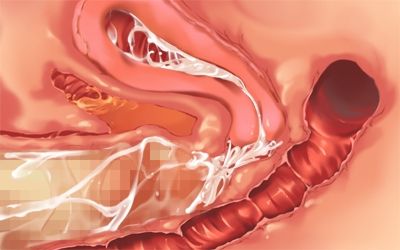 中出し,膣内射精_00V
