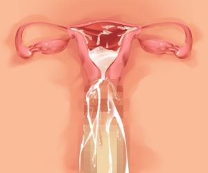 中出し,膣内射精_0AU