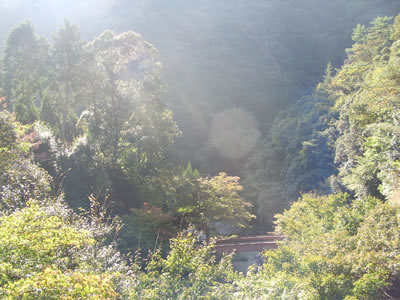 462709b3.jpg