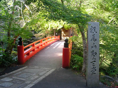 490f70e8.jpg