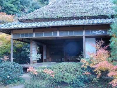 blog 425