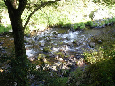 d040f509.jpg