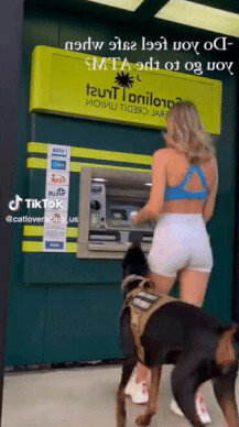 bandicam 2023-04-20 16-40-54-173