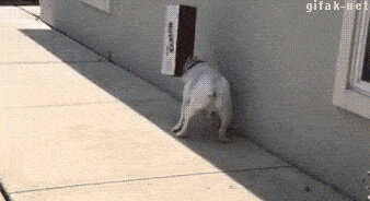 bandicam 2023-02-09 16-52-03-769