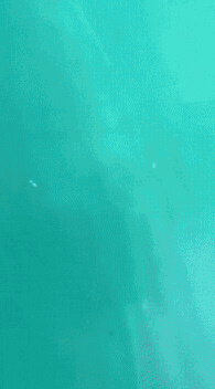 bandicam 2024-06-15 17-10-30-152
