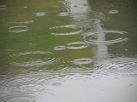 雨