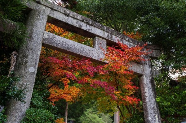 鳥居