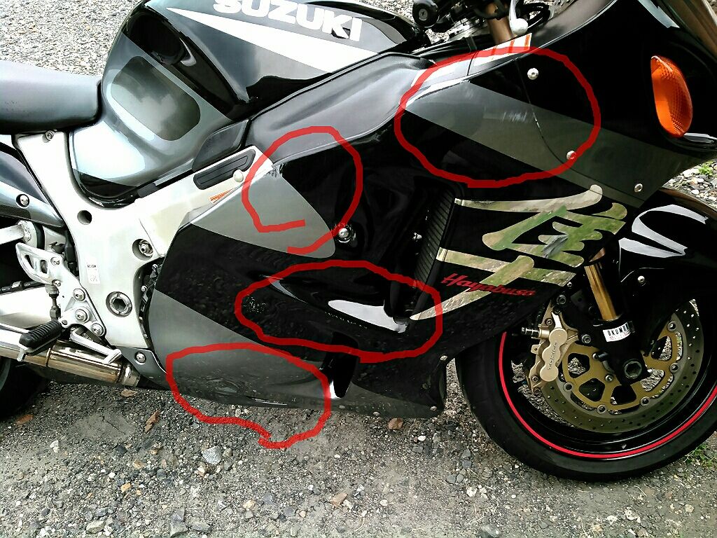 初立ちゴケ 隣は隼乗りのライダーさん