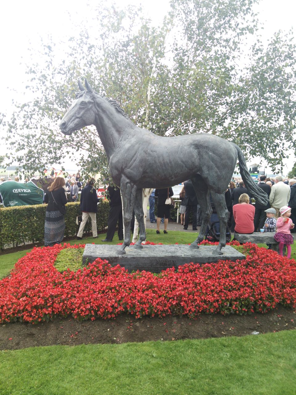 カラ競馬場 Curragh Racecourse アイルランド 競馬場アクセスガイド