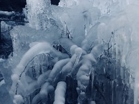 BF23DC59-5F26-49C9-98CF-2BB75DDD8CA8