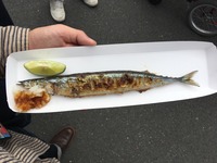 42C043A2-6210-466E-9B5F-22FF0C5DF861