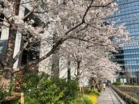 IMG_2368