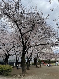 宮本公園