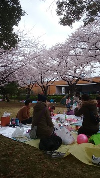 image:60005