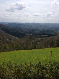 IMG_3742