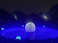 IMG_0412