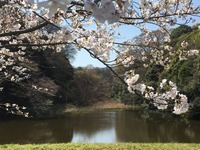 写真 2018-03-25 12 22 39