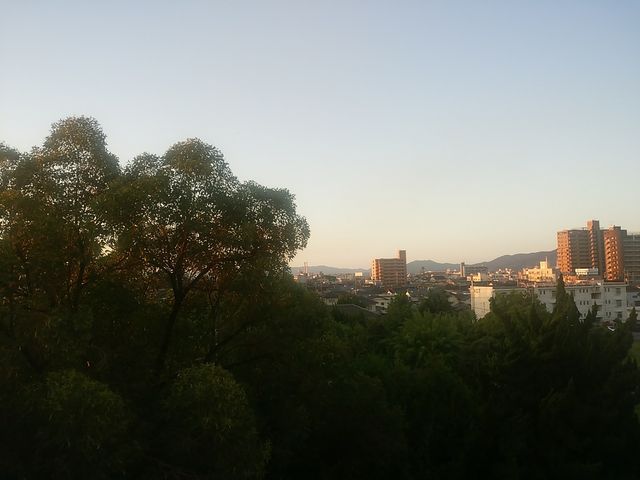 研究者 勉強法 読んだ論文を血肉にするために 自己投資としての論文メモのススメ とある三十路研究職の実験ノート