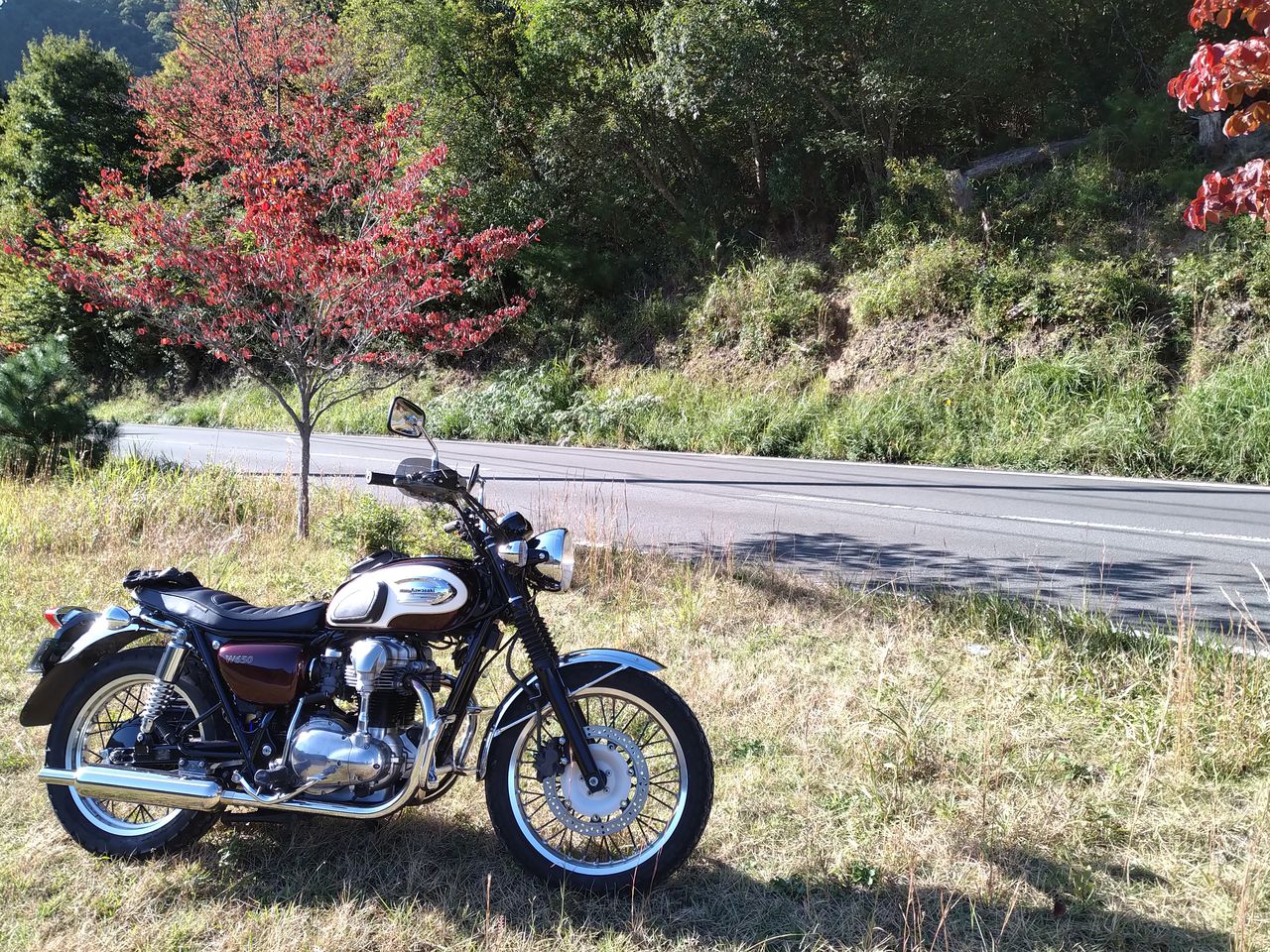 W650 ナックルガード効果絶大 Grom日記帳 W650 ナックルガード効果絶大 Grom日記帳