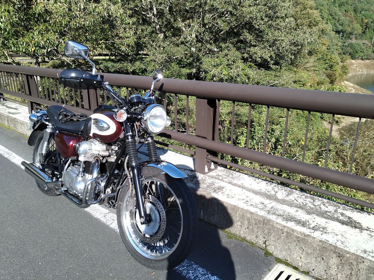 W650 ナックルガード効果絶大 Grom日記帳 W650 ナックルガード効果絶大 Grom日記帳
