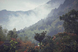 花粉_1~1