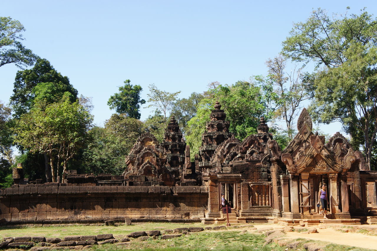 ピアニストがレオナルド・ダ・ヴィンチの設計に基づいて楽器を製作