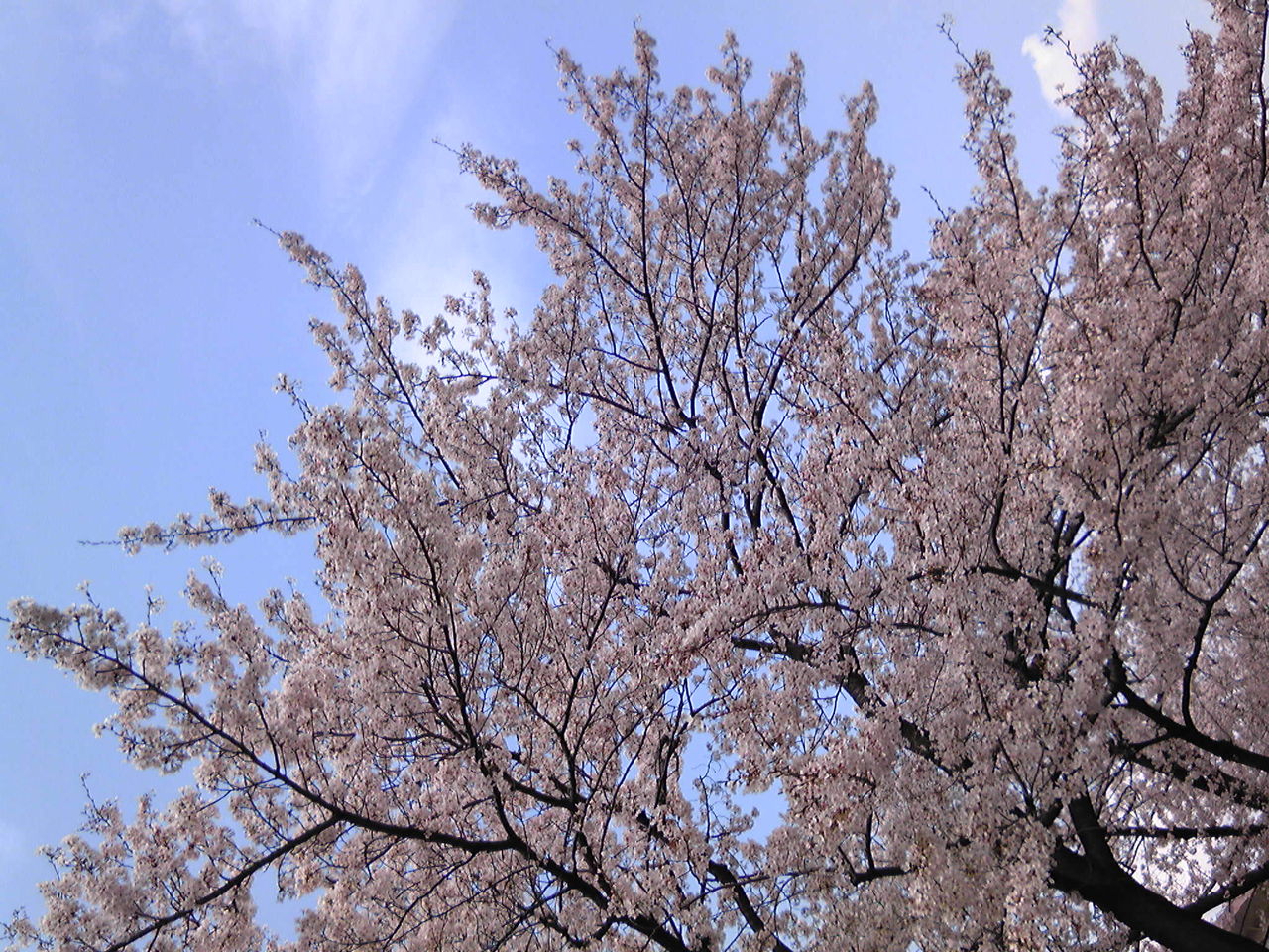 �餭�ؤ�