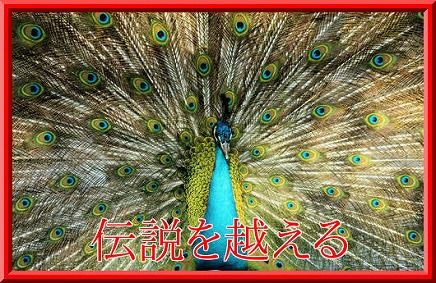 Tyl0FZ731ZElu6b1415181044_1415181218
