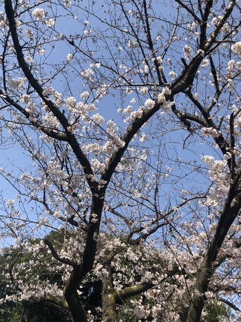 �餭�Ϥ�