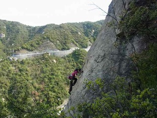 R0010109