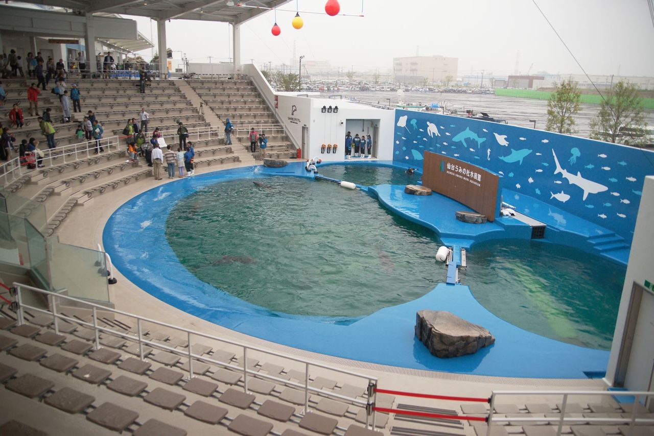 仙台うみの杜水族館２ イルカアシカショー Dr 水族館 とある産婦人科医による水族館ブログ