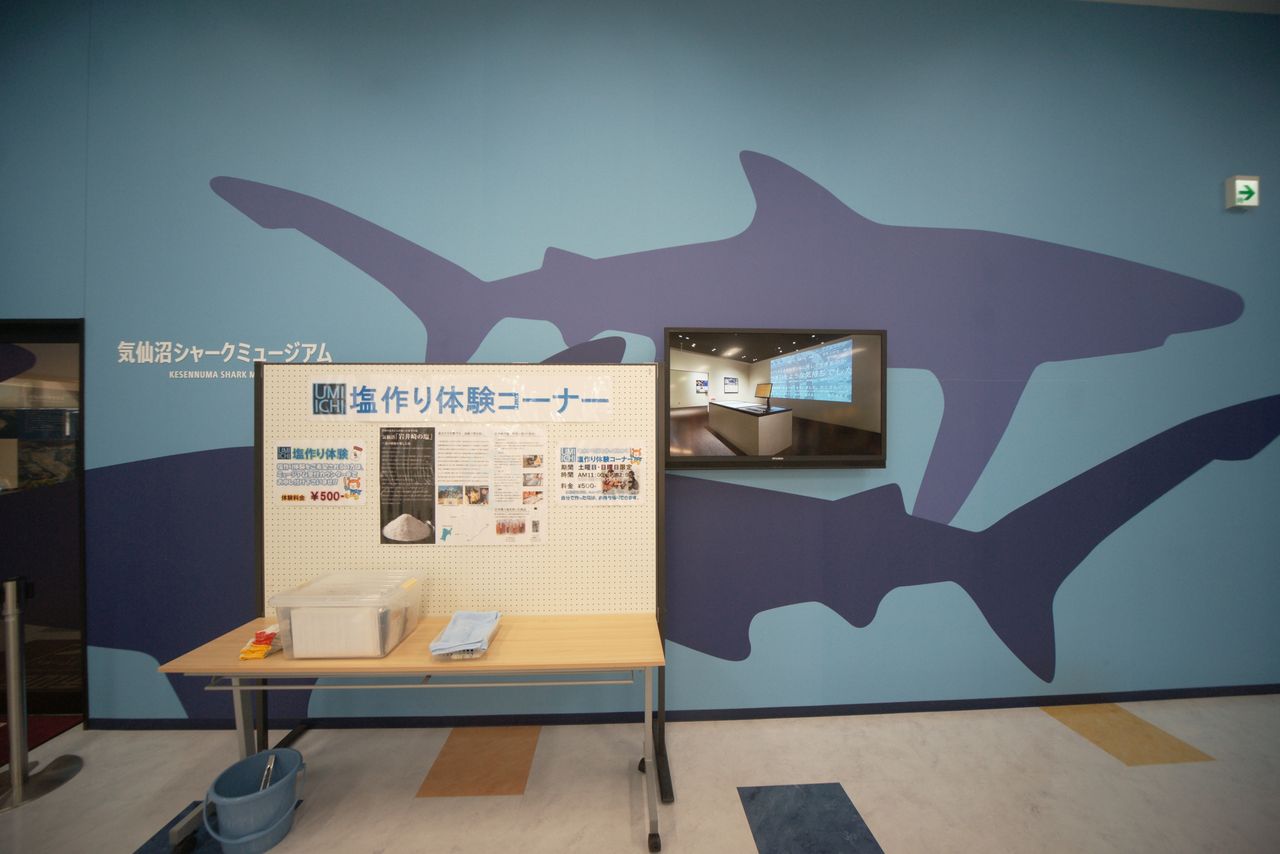 気仙沼リアスシャークミュージアム Dr 水族館 とある産婦人科医による水族館ブログ