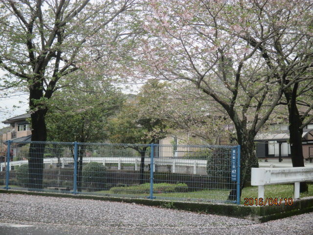 鹿児島市下荒田の春日温泉 キッチン まかない屋でランチ かごしまノスタルジア