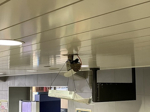 D653BF1C-FB2F-4AE1-B48D-AAC20DFBE30F