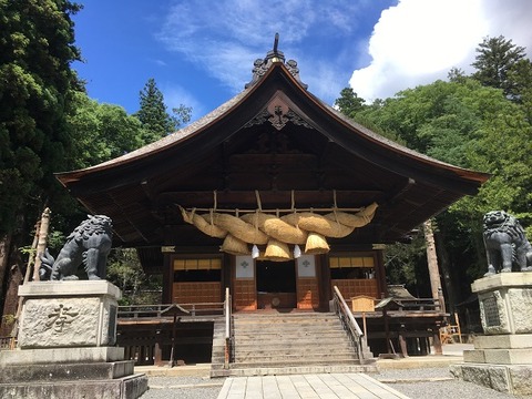 119295EB-D9F4-4313-89DF-18826FF765A9