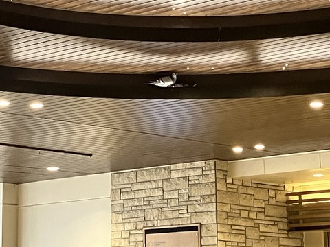 E4F5BBAA-A887-4735-A218-0C28F0AE4F09