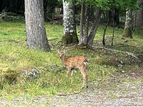 38C06ED9-16E7-44FB-9172-9B6FE8640B42