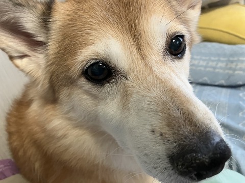 FDBF20F6-C9D4-4FF5-A65A-889EAE1C94E6